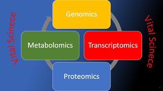 Metabolomics [upl. by Akimihs937]