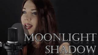 Mike Oldfield  Moonlight Shadow Alina LesnikampMarco Philipp Cover [upl. by Adian]