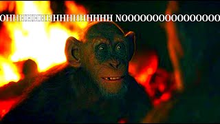 BAD APE OH NO PLANET OF THE APES MEME [upl. by Taryn]