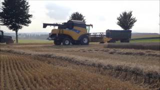 Weizen Dreschen 2016 mit New Holland CR 9060 [upl. by Auhel371]