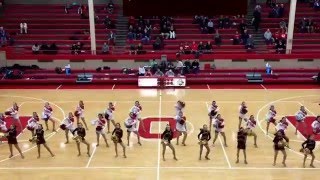 Ottawa Township High School Poms and Shepherd Poms  quotPump Up the Jamquot  February 9th 2016 [upl. by Jezabella]