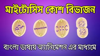 Mitosis Cell Division in Bengali [upl. by Liebman123]