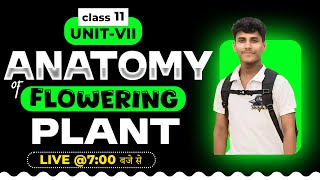 ANATOMY OF FLOWERING PLANTS CLASS 11  NCERT DEEP LINES  COMPLETE NCERT FOR NEET 2025 [upl. by Aborn]