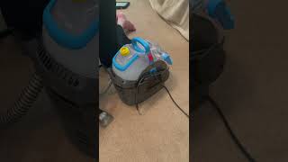 Very Nice Portable Carpet Scrubber asmr carpet scrubber youtubeshort [upl. by Lissy427]