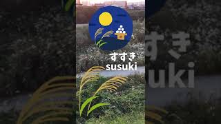 Parola giapponese quotsusukiquot  video dal fiume di Uji [upl. by Asiulairam]