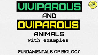 Viviparous amp Oviparous Animals [upl. by Brena]