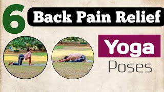 6 Back Pain Relief Yoga Poses  Fix Your Lower Back Pain with this [upl. by Dave765]