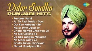 Didar Sandhu Punjabi Hits  Didar Sandhu Special  Punjabi Songs Playlist  New Punjabi Song 2023 [upl. by Suolekcin]