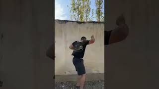 TRUMP🇺🇸 OR CANE CORSO⚠️🤔 shorts short shortvideo dog usa [upl. by Ettegroeg188]