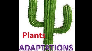 Plant Adaptations Lesson with Quiz [upl. by Anrev]