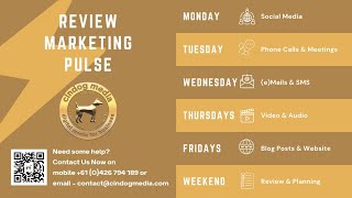 Marketing Pulse  Blog Post and Website  Part 2 [upl. by Nonnad]