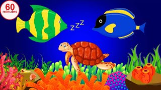 60 minutes Lullaby for Babies To Go To Sleep nursery rhymes Aquarium Fish Baby sleep music stv [upl. by Jump172]