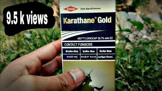 Karathane Gold Fungicide Dow Agro Science [upl. by Ahearn]