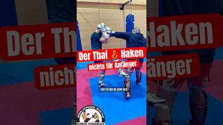 Muay ThaiHaken verbessern mma boxen boxer muaythai thaiboxen thaiboxing hook kickboxen [upl. by Enawd39]