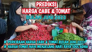 prediksi harga cabai bulan juni 2023  prediksi harga tomat bulan juni 2023 [upl. by Devan]