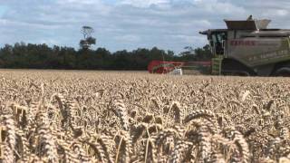 Nuffield Arable Farming where next Px Farms Harvest 2011 [upl. by Fatsug]