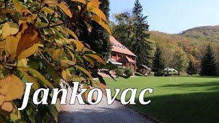 Izlet na Jankovac  Park prirode Papuk [upl. by Ailimac]