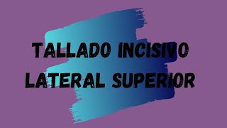 Tallado Incisivo Lateral Superior [upl. by Nosneh]