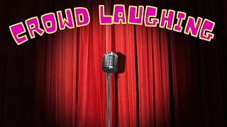 Crowd Laughing Sound Effects  Comedy Club Laughter [upl. by Adnowat]