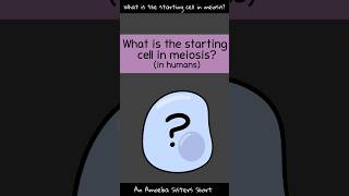 Starting Cell in Meiosis  Amoeba Sisters Shorts [upl. by Viddah]