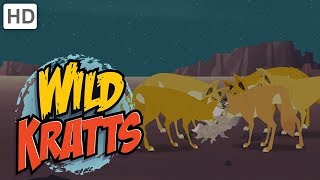 Wild Kratts  Creatures of the Night [upl. by Tihor]