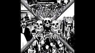 Recalcitrant  Split wConvulsions 2018Grindcore [upl. by Annabelle]