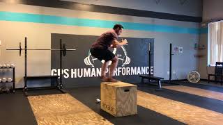 Chubbs Petersons Concentric Only No Arm Box Jump  GPS Human Performance [upl. by Gram]