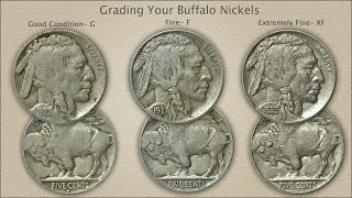 Grading Buffalo Nickels [upl. by Ainivad]