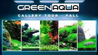 GREEN AQUA Gallery Tour 2024 Fall  Cinematic [upl. by Alicea424]