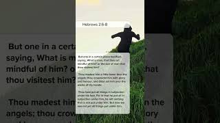 POWERFUL BIBLE VERSE YOUR DAY Crowned with Glory Understanding Our Divine Purpose in Hebrews 268 [upl. by Eatton]