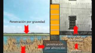 Problemas de Humedad y Soluciones en las Edificaciones [upl. by Inajar]