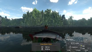 Nyari ikan Carp FISHING PLANET [upl. by Blinnie]