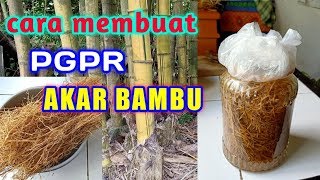 CARA MEMBUAT PGPR AKAR BAMBU [upl. by Chevalier]