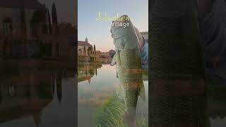 Adriatica Village European charm in Texas shorts shortvideo short shortsvideo shortsfeed [upl. by Grosmark]