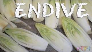 What Is Endive  Braised Endive Recipe [upl. by Thordia961]