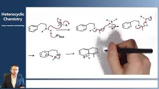 13  Synthesis of Isoquinolines and Quinolines [upl. by Jordon687]