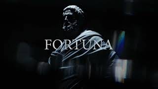 quotFortis Fortuna Adiuvatquot Motivational Video [upl. by Vevina]