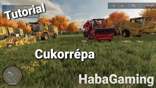 Minden ami cukorrépa Farming Simulator 22 [upl. by Anirbac]