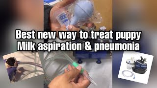 Best new way to fight puppy milk aspiration amp pneumonia‼️ [upl. by Yeleen]