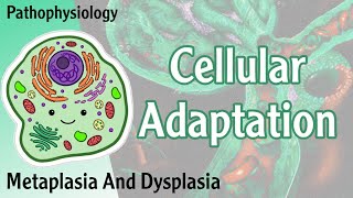 Pathophysiology  Cellular Adaptation  Metaplasia Dysplasia  Hani Laith شرح [upl. by Dutch]