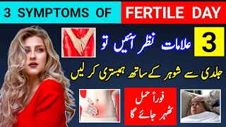 3 Symptoms Can Make You Pregnant in 24 Hours 3 Symptoms Of Fertile Day Egg Rupture Symptoms [upl. by Aerdnaed]