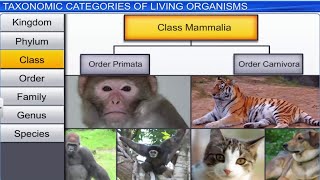 CBSE Class 11 Biology  The Living World  Full Chapter  By Shiksha House [upl. by Meggie]