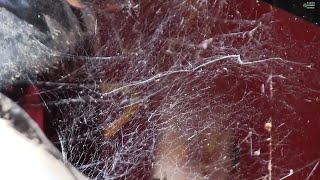 DIY special effects COBWEBS from repurposed Styrofoam DIY Realistic Spider Web Throwing [upl. by Down]