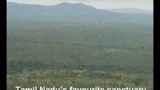 Mudumalai Videos Tamil Nadu India [upl. by Blodgett]