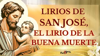 🔴LIRIOS PERFUMADOS DE SAN JOSÉ  EL LIRIO DE LA BUENA MUERTE ❤️ [upl. by Aitnyc]