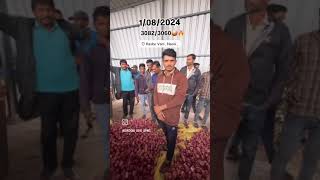 Nashik Vani market kanda bajar bhav live agridoctors agridoctors2702 [upl. by Elda435]