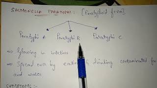 SALMONELLA TYPHI AND PARATYPHI  STRUCTURE SYMPTOMS TREATMENT LIFE CYCLE  BY PHANINDRA GUPTHA [upl. by Meave]