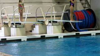 1 Meter Front Full Twist Dive [upl. by Nnylav]