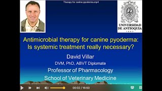 Antimicrobial Therapy for canine pyoderma Is systemic treatment really necessary [upl. by Sairacaz]