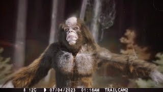 Most Disturbing Creatures Caught on Trail Cam 2023 [upl. by Ralf]